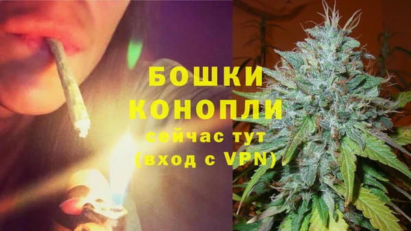 трава Аркадак